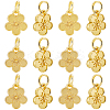 40Pcs Rack Plating Alloy Charms FIND-BBC0003-41G-1