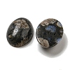 Natural Glaucophane Cabochons G-C115-01A-23-2