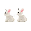 Resin Pendants RESI-S356-53-1