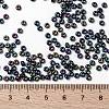 MIYUKI Round Rocailles Beads X-SEED-G008-RR0455-2