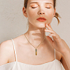 2Pcs 2 Styles Stainless Steel Perfume Bottle Necklaces NJEW-FH0001-29B-5