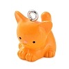 Opaque Resin Pendants LS-RESI-Z014-01E-1
