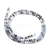 Glass Beads Strands GLAA-F106-C-21-2