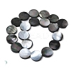 Natural Black Lip Shell Beads Strands BSHE-D300-05-20mm-4