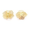 Iron Bead Caps IFIN-N013-04G-2