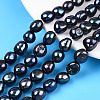 Natural Cultured Freshwater Pearl Beads Strands PEAR-N014-10C-1
