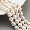 Natural Cultured Freshwater Pearl Beads Strands PEAR-P062-13E-1