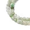Natural Chrysoprase Beads Strands G-RM2025-A39-3mm-4