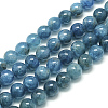 Natural Apatite Beads Strands X-G-S150-18-10mm-2