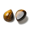 Natural Tiger Eye Cabochons G-Q173-02B-04-2