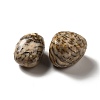Natural Feldspar Beads G-G979-A11-3