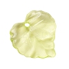 Transparent Acrylic Pendants X1-DBLA410-9-8