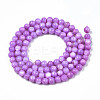 Natural Freshwater Shell Beads Strands SHEL-N003-24-B04-2
