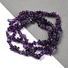 Natural Amethyst Chip Beads Strands X-G-L607-A01-01-4