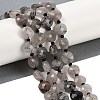 Natural Tourmalinated Quartz Beads Strands G-B094-A25-01-1