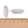 Rainbow Iridescent Plating Resin Pendants LS-RESI-C047-03E-G-3