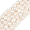 Natural Cultured Freshwater Pearl Beads Strands PEAR-P064-20L-01A-2