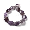 Natural Amethyst Beads Strands G-P528-M16-01-3