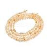 Natural Citrine Beads Strands G-I289-02-2