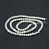 Natural White Moonstone Beads Strands X-G-P342-02A-4mm-AA-2
