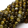 Dyed Natural Agate Faceted Round Beads Strands G-E320E-8mm-11-1