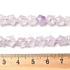 Natural Amethyst Beads Strands G-Z080-A24-8mm-5