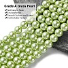 Eco-Friendly Dyed  Glass Pearl Round Bead Strands HY-A002-8mm-RB065-3