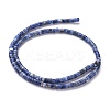 Natural Sodalite Beads Strands G-H230-10-3