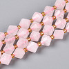 Natural Rose Quartz Beads Strands G-T144-23A-05-4