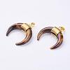 Natural Tiger Eye Pendants G-L466-A01-1