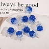 Transparent Resin Pendants CRES-D306-10G-B-1