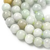 Natural Myanmar Jade/Burmese Jade Beads Strands G-K310-C05-8mm-01-3