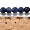 Natural Sodalite Round Bead Strands G-P072-27-6mm-5