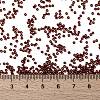 MIYUKI Round Rocailles Beads SEED-X0056-RR0309-4