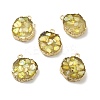 Transparent Resin Pendants CRES-F022-03A-1