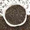 Electroplate Glass Seed Beads SEED-H003-10G-3