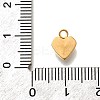 304 Stainless Steel Pave Cubic Zirconia Charms STAS-D310-07G-01-3