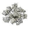 Natural Sesame Jasper Pendants G-B127-12P-11-1
