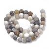 Natural Bamboo Leaf Agate Beads Strands X-G-T106-027-3