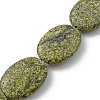 Natural Serpentine/Green Lace Stone Beads Strands G-P469-02-2