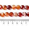 Natural Red Agate Beads Strands G-K357-B02-01-5