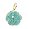 Natural Amazonite Carved Pendants G-G330-01G-07-1