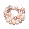 Natural Cultured Freshwater Pearl Beads Strands PEAR-N013-07O-2