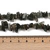 Natural Green Rutilated Quartz Beads Strands G-Q060-C03-5