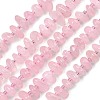 Natural Rose Quartz Beads Strands G-F821-B02-01-2