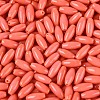 Opaque Colours Glass Seed Beads SEED-T007-16C-2