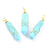Natural Dyed Howlite Pendants G-H260-03B-G-1