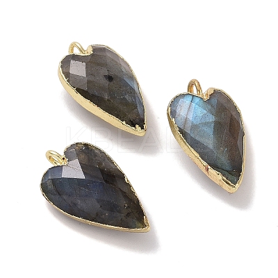 Natural Labradorite Pendants G-G012-11G-06-1