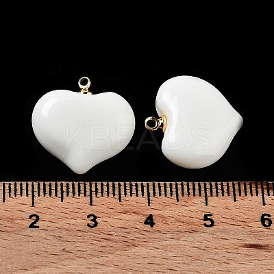 Handmade Lampwork Pendants LAMP-G160-01B-1