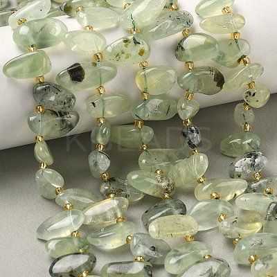 Natural Prehnite Beads Strands G-P604-A02-01-1